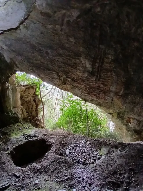 Fotografia de CASA FALSA DEL SITJAR (4 de 6)