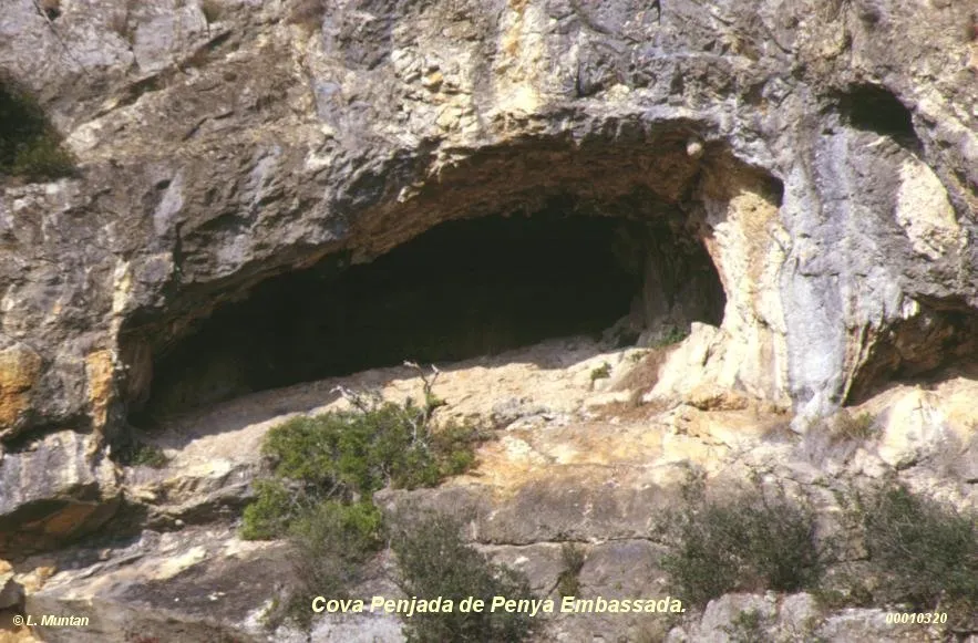 Fotografía de PENJADA DE PENYA EMBASSADA, COVA (1 de 2)