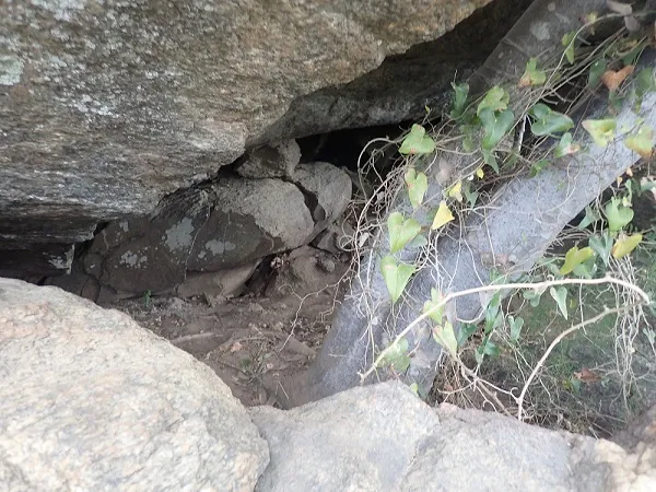 Fotografia de GUILLES, CAU DE LES (2 de 6)