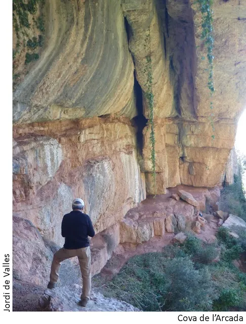 Fotografía de ARCADA, COVA DE L' (2 de 3)