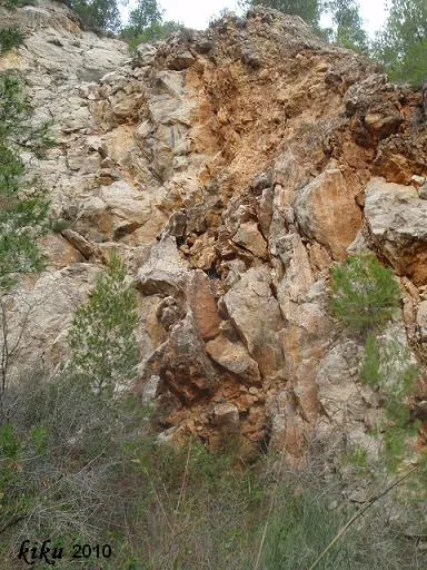 Photograph of MATA, ESCLETXA DE LA (1 of 1)