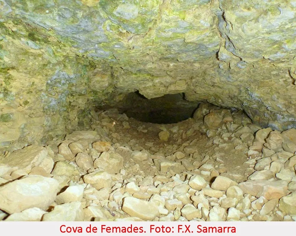 Photographie de FEMADES, COVA DE LES (4 sur 4)