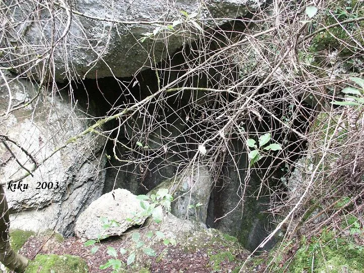 Fotografia de TAVERNA, COVA DE LA (1 de 12)