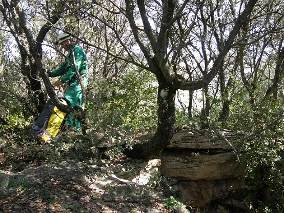 Fotografia de GRALLER,  ESQUERDA DEL (5 de 11)