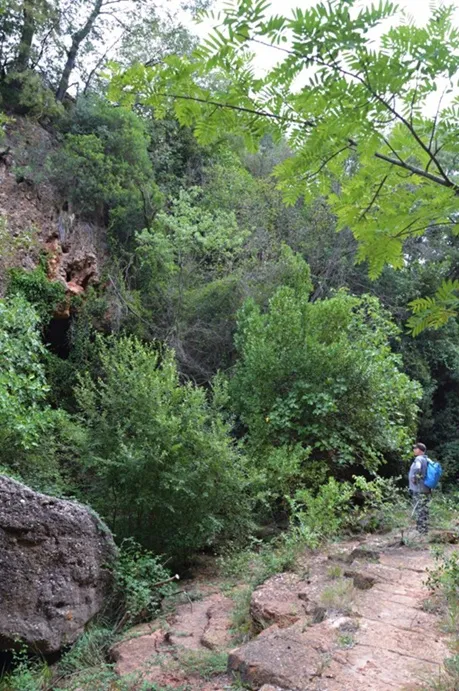 Fotografía de CAN CÒDOL, COVA DE (1 de 4)