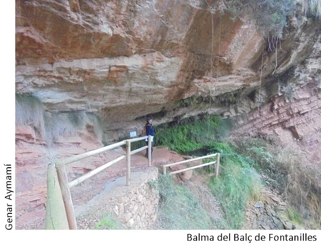 Photographie de BALÇ DE LES FONTANILLES, BALMA (2 sur 3)
