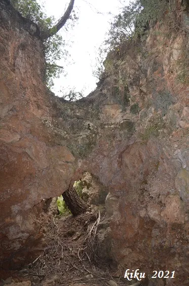 Photographie de COLL VERDEGUER, AVENCÓ DE (2 sur 6)