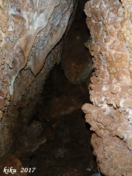 Fotografía de PLANA DE LA TORRE, AVENC DE LA (2 de 5)