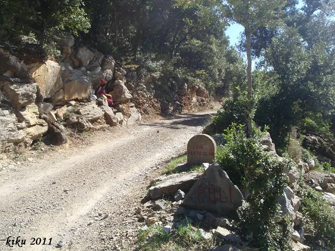 Fotografia de CAN POLÍ, COVA DE (1 de 7)