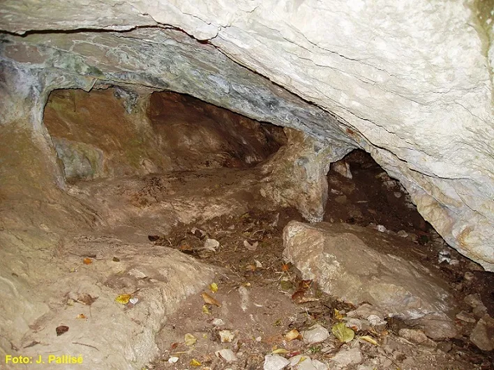 Fotografia de ISARD, COVA DE L' (2 de 2)