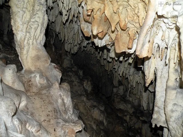 Fotografia de PI, COVA DEL (4 de 7)