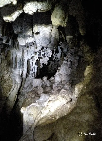 Fotografia de PI, COVA DEL (3 de 7)
