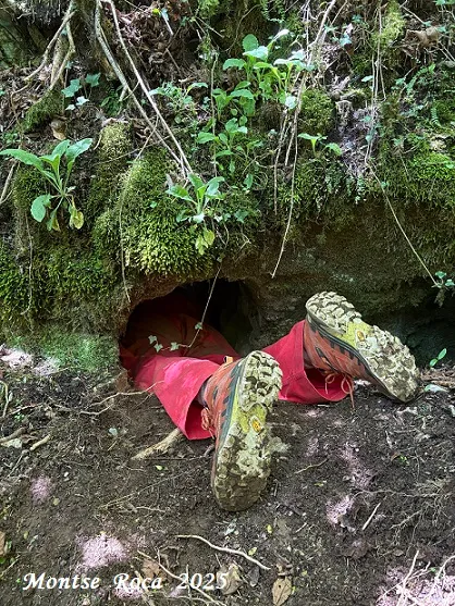 Fotografia de MEANDRE, COVA DEL  (2 de 6)