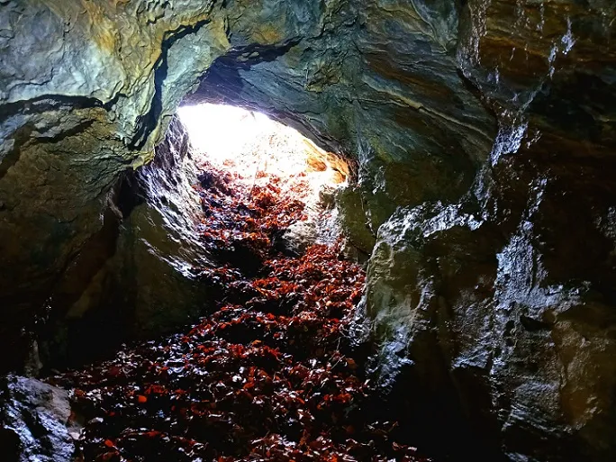 Fotografia de COLL DE L'ALEC, AVENC DEL (6 de 6)