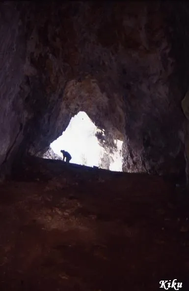Fotografia de CAMBROT, COVA DEL (3 de 6)