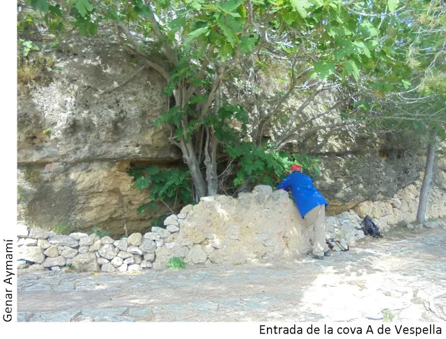 Fotografía de VESPELLA, COVA A DE (1 de 2)