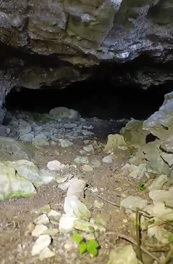 Fotografía de TORRENT DELS CORTILS, COVA DEL (2 de 6)