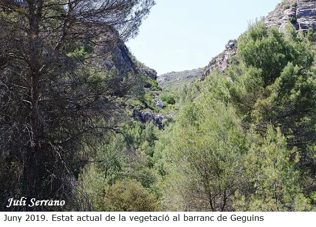 Fotografia de GEGUINS, COVA DE (15 de 15)
