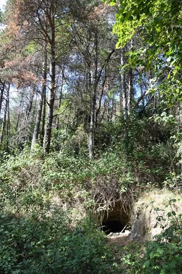 Photographie de TOFAROQUES, COVA DE (1 sur 5)
