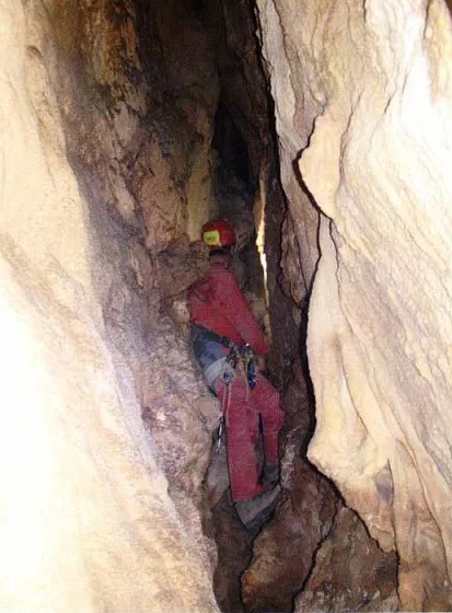 Photograph of SPELEOCORB, AVENC (3 of 3)