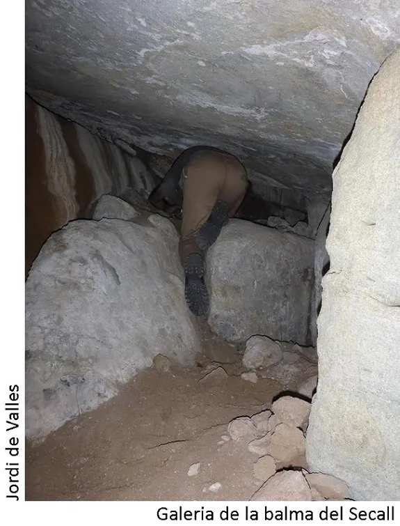 Fotografía de SECALL, BALMA DEL (2 de 3)