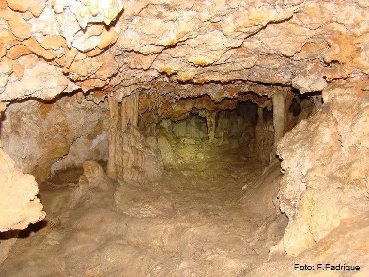 Fotografia de BONICA, COVA (11 de 18)