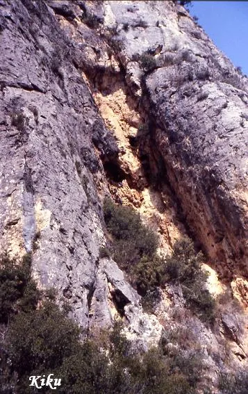 Fotografia de ESCALETA, COVA DE L' (1 de 8)