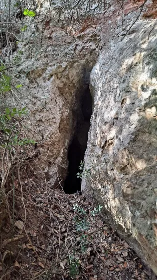 Photograph of MOSQUITS, COVA DELS (2 of 3)