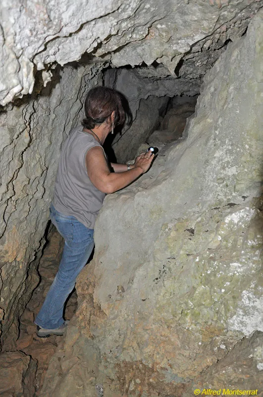 Fotografía de CAL SALA, COVES DE (6 de 6)
