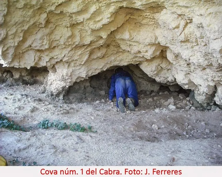 Fotografía de CABRA, COVA Nº1 DEL (1 de 1)