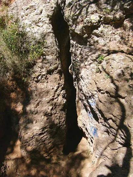 Fotografia de MANEL, COVA DEL (6 de 21)