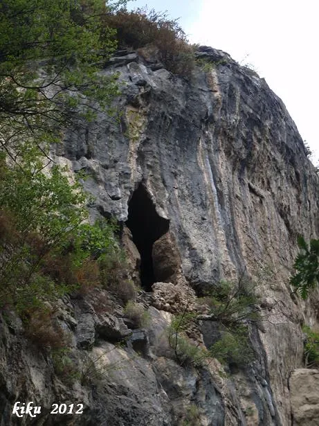 Photographie de RIBES, COVES DE (3 sur 3)