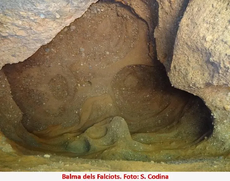 Photographie de FALCIOTS, BALMA DELS (5 sur 5)