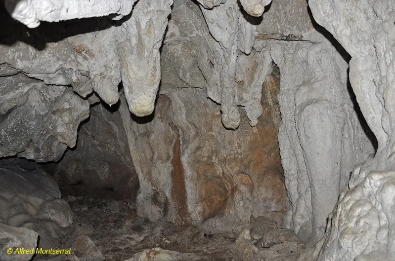 Fotografia de PUBILLES, COVA DE LES (5 de 7)