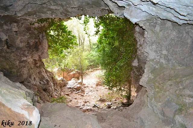 Photographie de GRÈVOL, COVA DEL (7 sur 7)