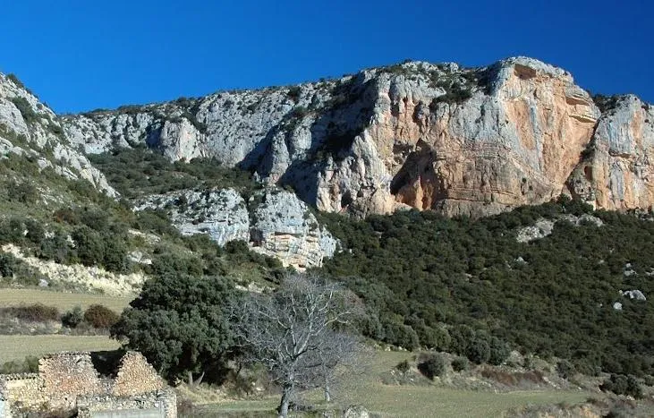 Photographie de MONGES, COVA DE LES (1 sur 1)