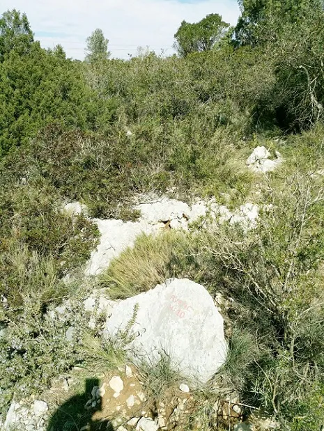 Fotografía de PLA DE SOTS, AVENC DEL (1 de 6)