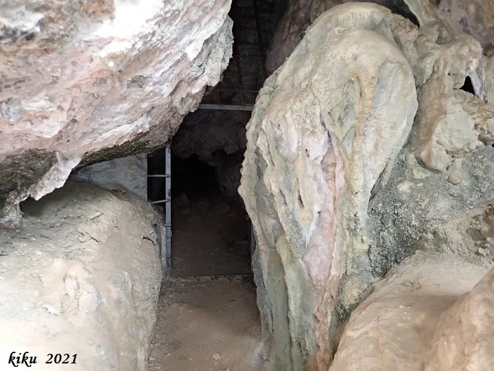 Fotografia de FRONTAL, COVA DEL (1 de 17)