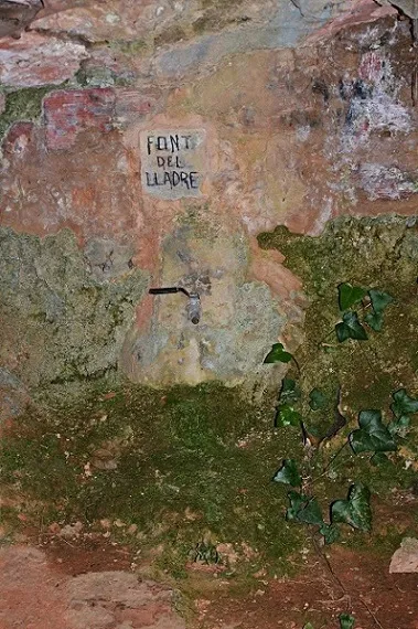 Fotografia de FONT DEL LLADRE, BALMA DE LA (3 de 4)