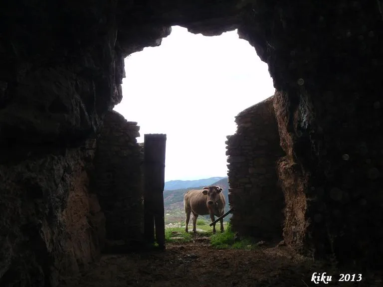 Photographie de TUTA, LA (5 sur 7)