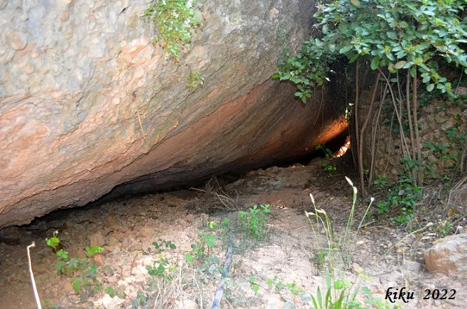 Fotografia de FONT DE LA COVASSA, COVA DE LA (1 de 9)