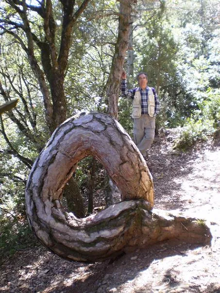 Fotografía de PINS CARGOLATS, AVENC DELS (1 de 4)