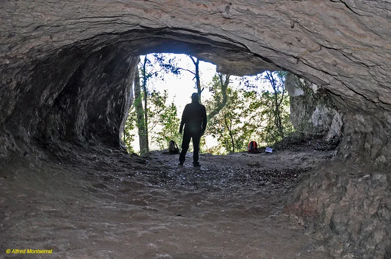 Photograph of DRAC DE VILARJOAN, COVA DEL (2 of 4)