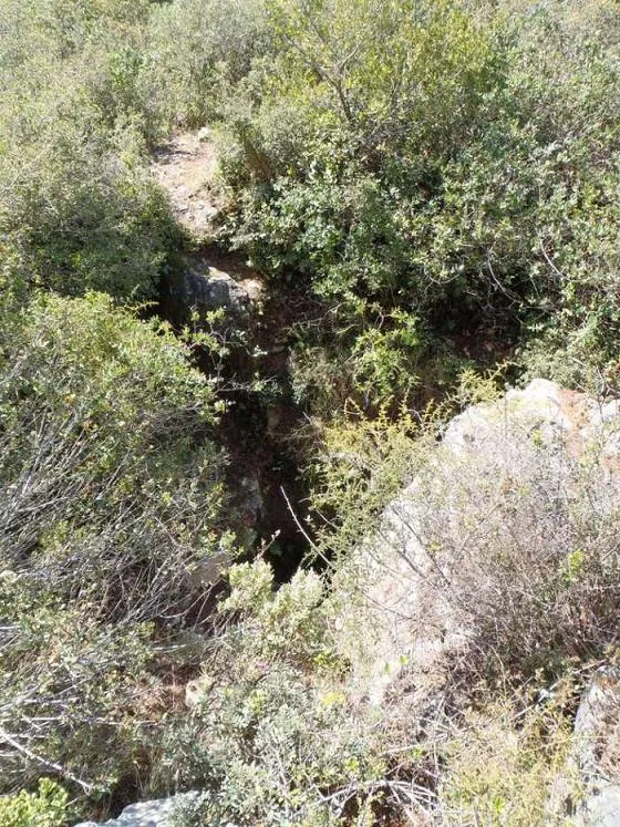 Fotografía de TOSSAL GROS, CAU DEL (1 de 3)