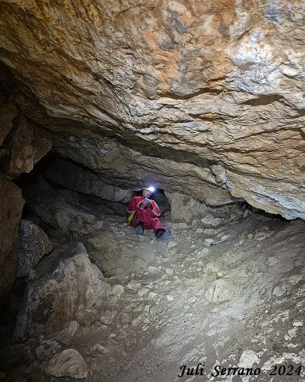 Fotografia de MATA, COVA D'EN (5 de 13)