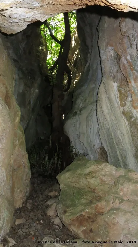 Photograph of GELASA I, AVENC DE LA (3 of 7)