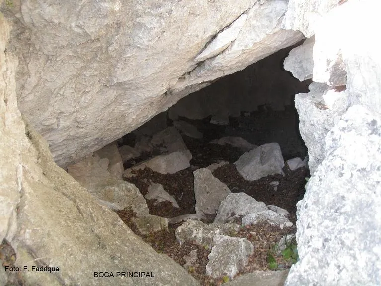 Fotografía de CARTANYÀ, COVA (3 de 12)