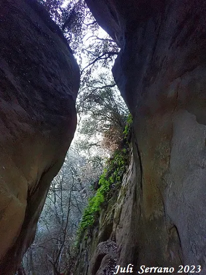 Photograph of CORT FOSCA DE VILLARET (6 of 8)