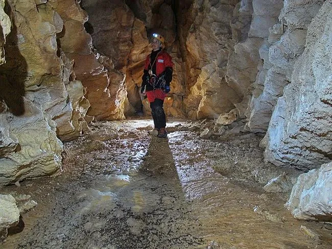 Fotografía de CINGLE DE ROCA ALTA, AVENC DEL (7 de 8)