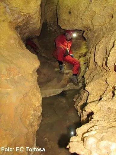 Fotografia de PRATS, COVA DELS (7 de 8)